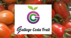 Gallego Costa Frutas y Verduras Hostelería Benalmádena