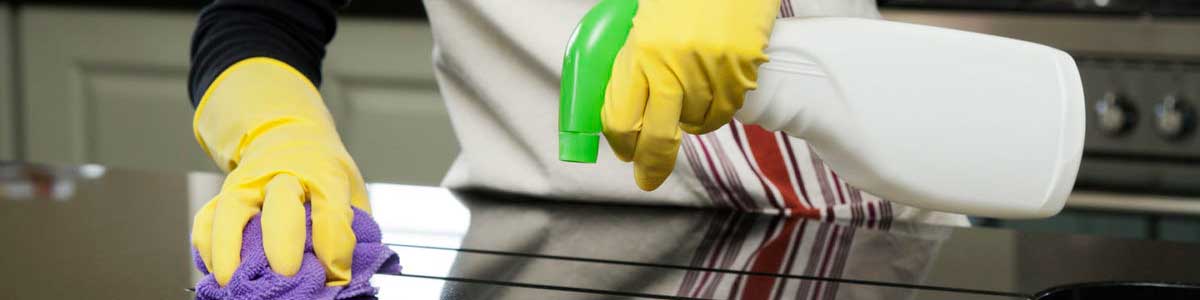 Servicios Limpieza e Higiene
