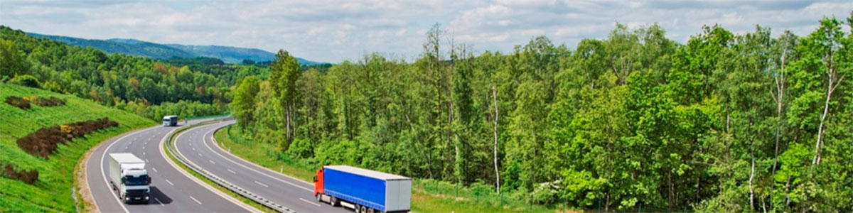 Transportes por Carretera Málaga